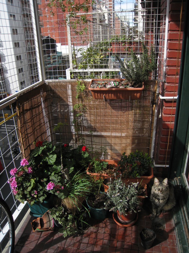 zielony balkon z pionowymi donicami